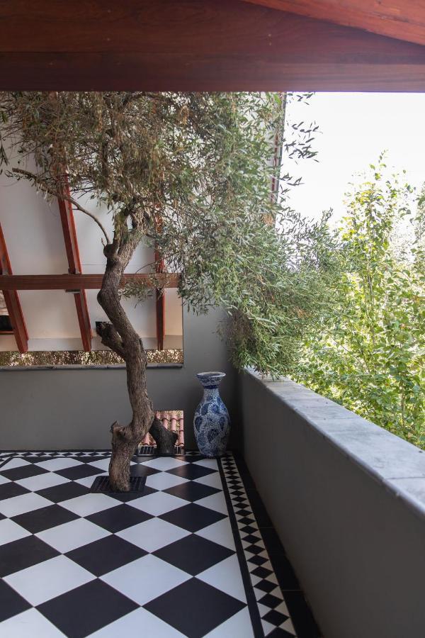 Bella Blue Guesthouse Блоемфонтейн Екстериор снимка